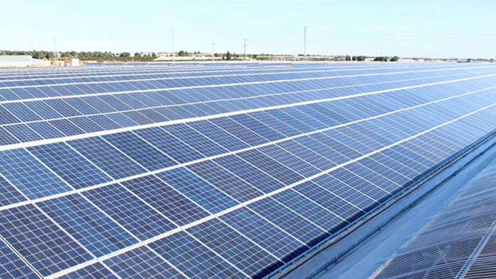 ??? ????? ??? ???????